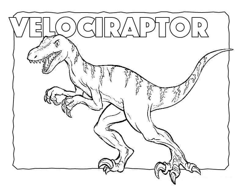 Disegno da colorare: Velociraptor (Animali Preistorici) #214485 - Pagine da Colorare Stampabili Gratuite