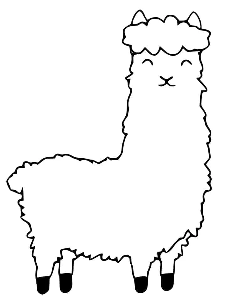 Disegno Alpaca in piedi con pelliccia soffice da colorare Disegno Alpaca in piedi con pelliccia soffice da colorare