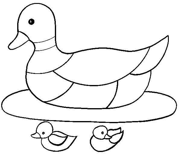 Disegno Anatra che galleggia con due piccoli anatroccoli da colorare Disegno Anatra che galleggia con due piccoli anatroccoli da colorare