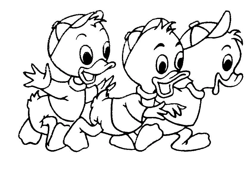 Disegno Anatra trio di anatroccoli a passeggio da colorare