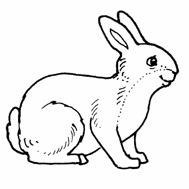 Disegno Coniglio seduto di profilo da colorare