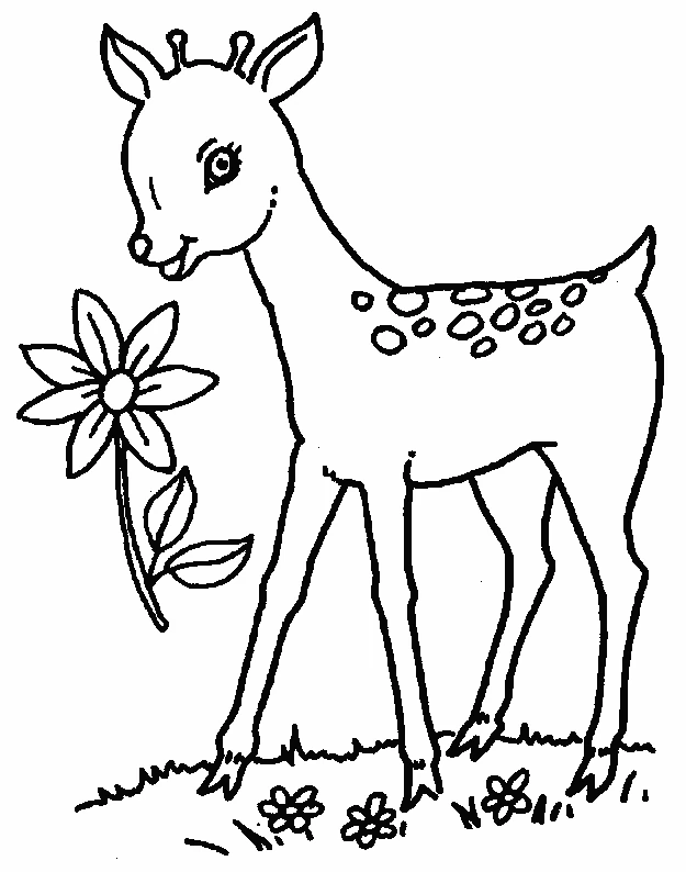 Disegno Cerva che annusa un fiore da colorare
