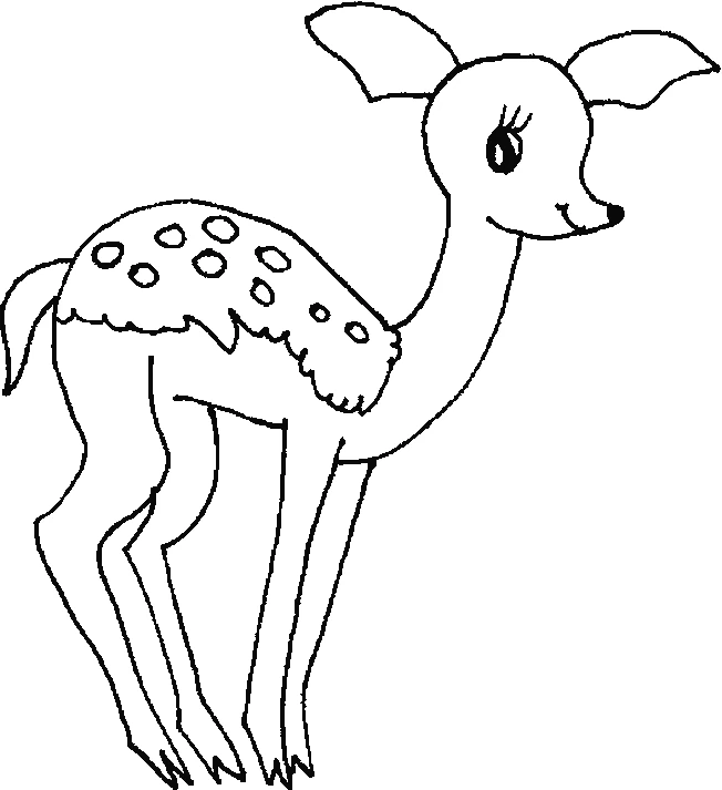 Disegno Cerva con dorso maculato in piedi da colorare Disegno Cerva con dorso maculato in piedi da colorare