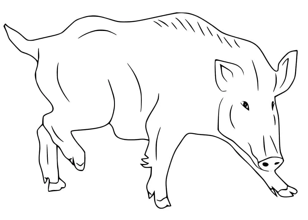 Disegno Cinghiale che cammina a testa bassa da colorare