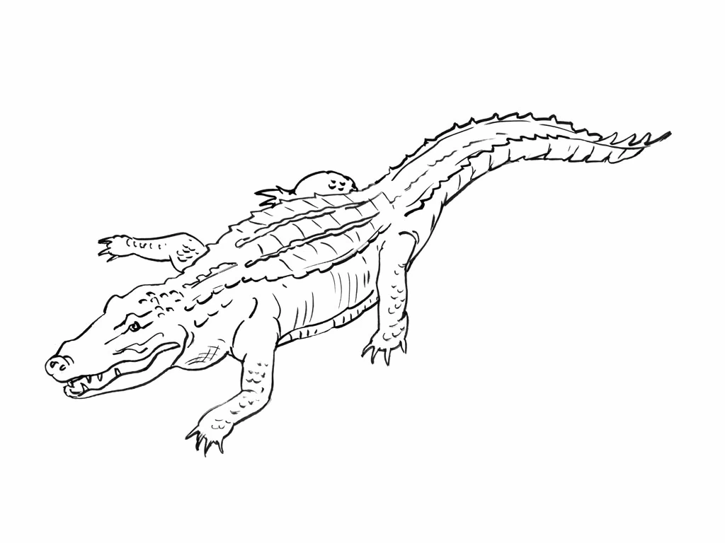 Disegno Coccodrillo che striscia a bocca aperta da colorare