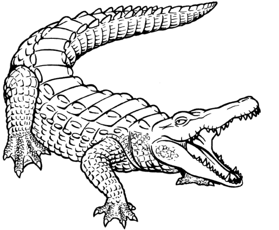 Disegno Coccodrillo con bocca aperta e coda arcuata da colorare