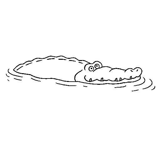 Disegno Coccodrillo che galleggia nell'acqua da colorare Disegno Coccodrillo che galleggia nell'acqua da colorare