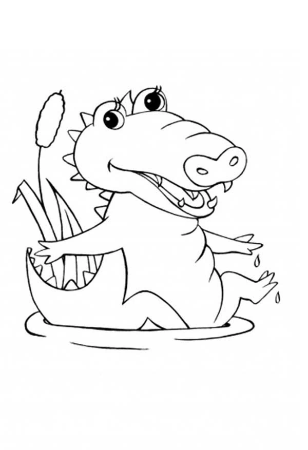 Disegno Coccodrillo che esce dall'uovo da colorare