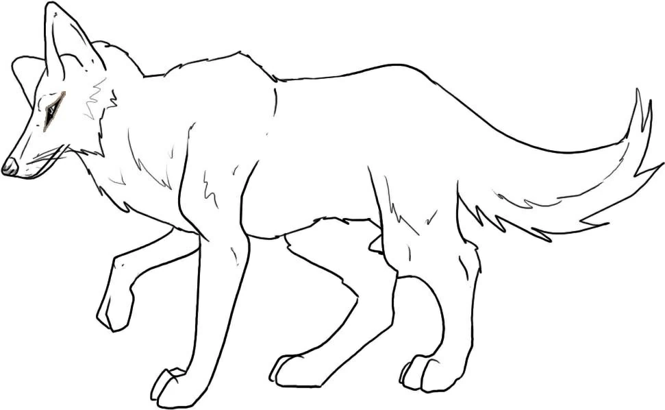 Disegno Coyote che cammina con la coda alzata da colorare Disegno Coyote che cammina con la coda alzata da colorare