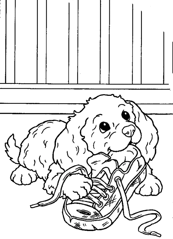 Disegno Cucciolo che mordicchia una scarpa da colorare