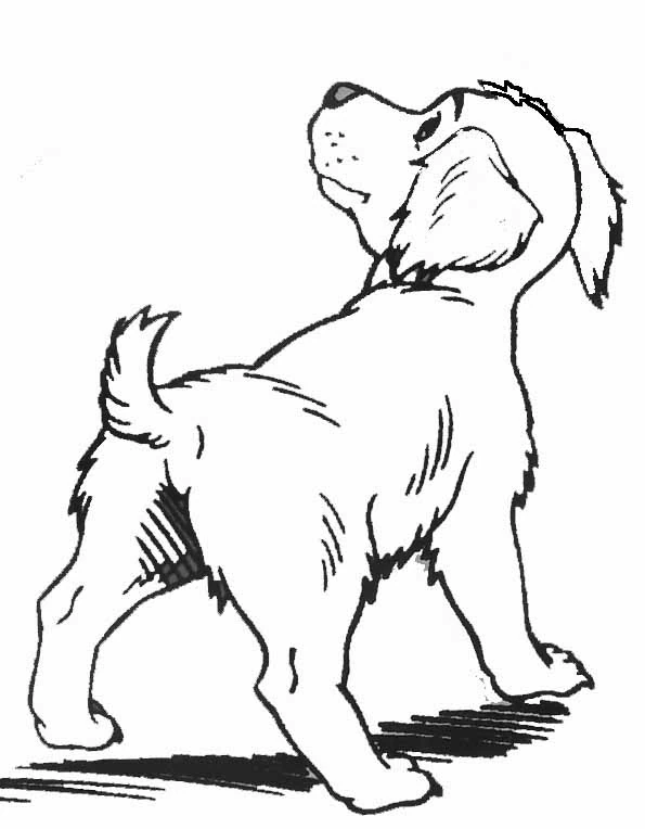 Disegno Cucciolo che cammina con la testa alzata da colorare Disegno Cucciolo che cammina con la testa alzata da colorare