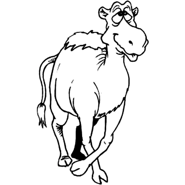 Disegno Dromedario che avanza verso l'osservatore da colorare Disegno Dromedario che avanza verso l'osservatore da colorare