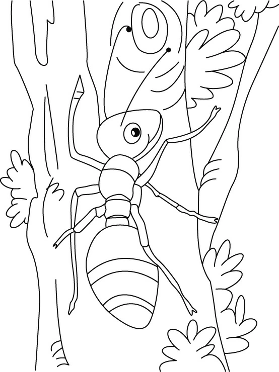 Disegno Formica che sale su un tronco d'albero da colorare