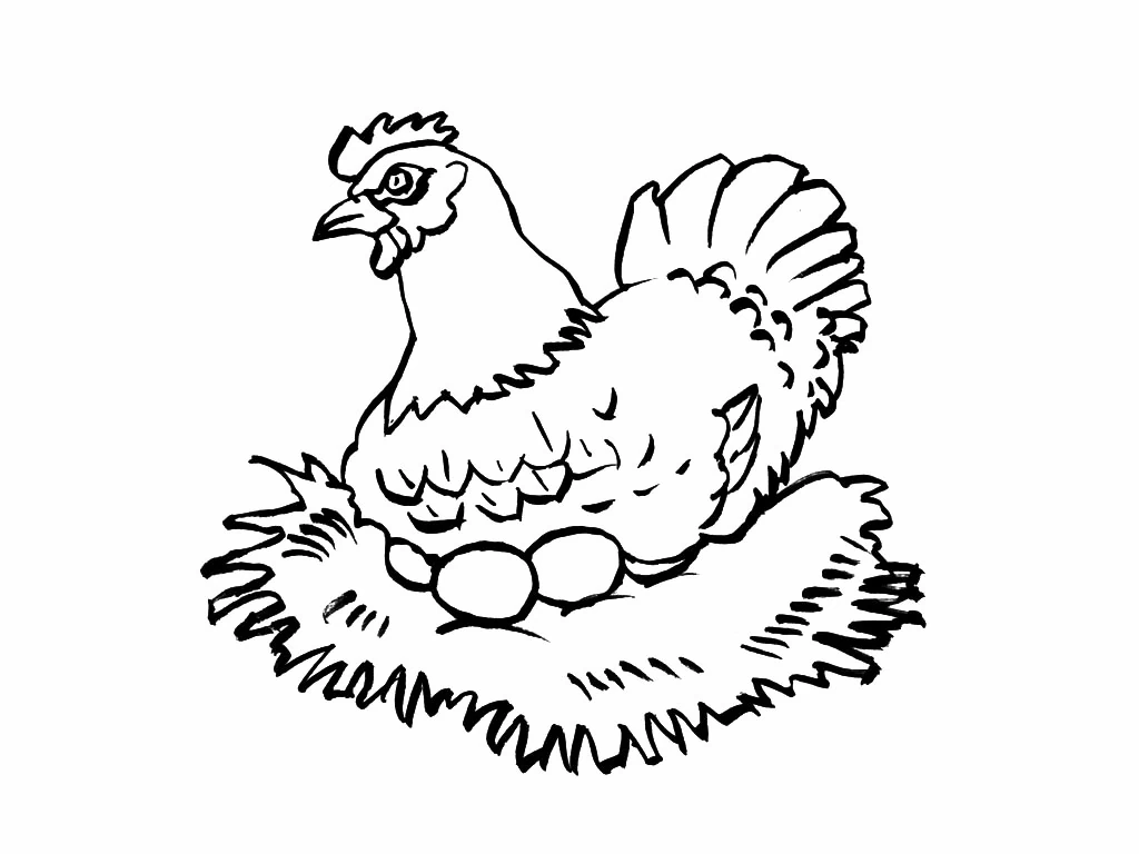 Disegno Gallina che cova le uova nel nido da colorare Disegno Gallina che cova le uova nel nido da colorare
