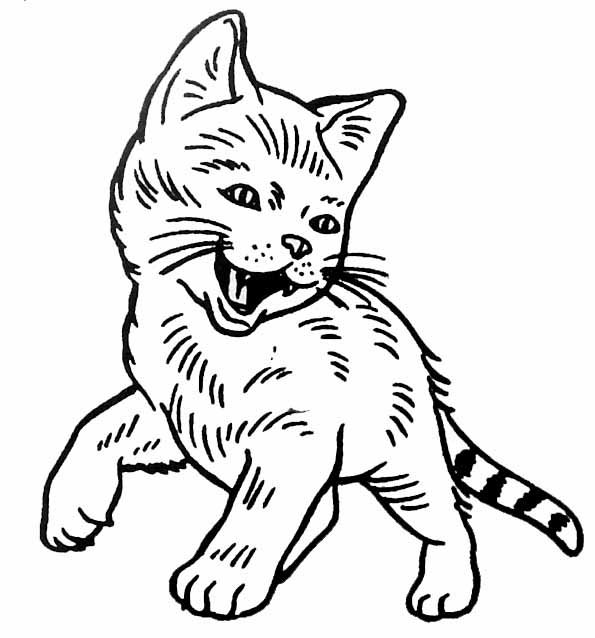 Disegno da colorare: Gattino (Animali) #18063 - Pagine da Colorare Stampabili Gratuite