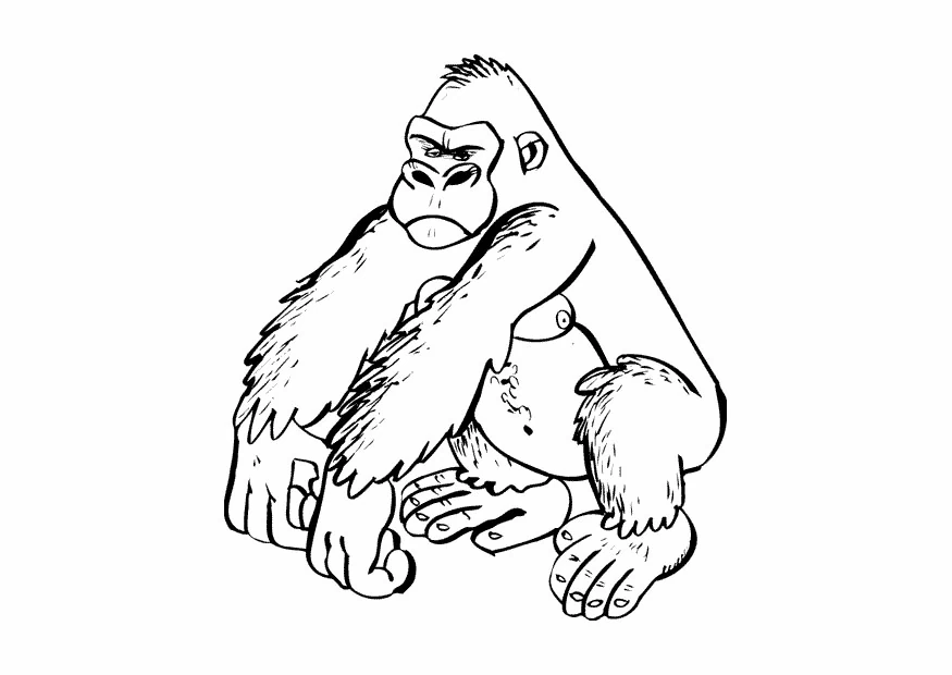 Disegno Gorilla seduto con le braccia incrociate da colorare Disegno Gorilla seduto con le braccia incrociate da colorare