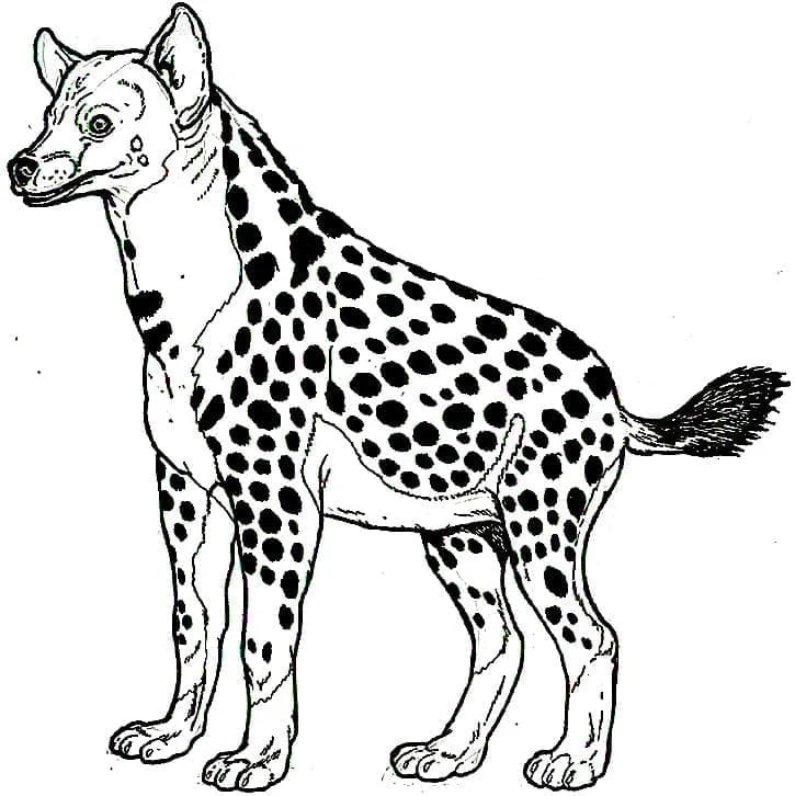 Disegno Iena in piedi di profilo da colorare Disegno Iena in piedi di profilo da colorare