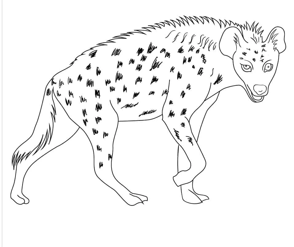 Disegno Iena che cammina con manto maculato da colorare Disegno Iena che cammina con manto maculato da colorare