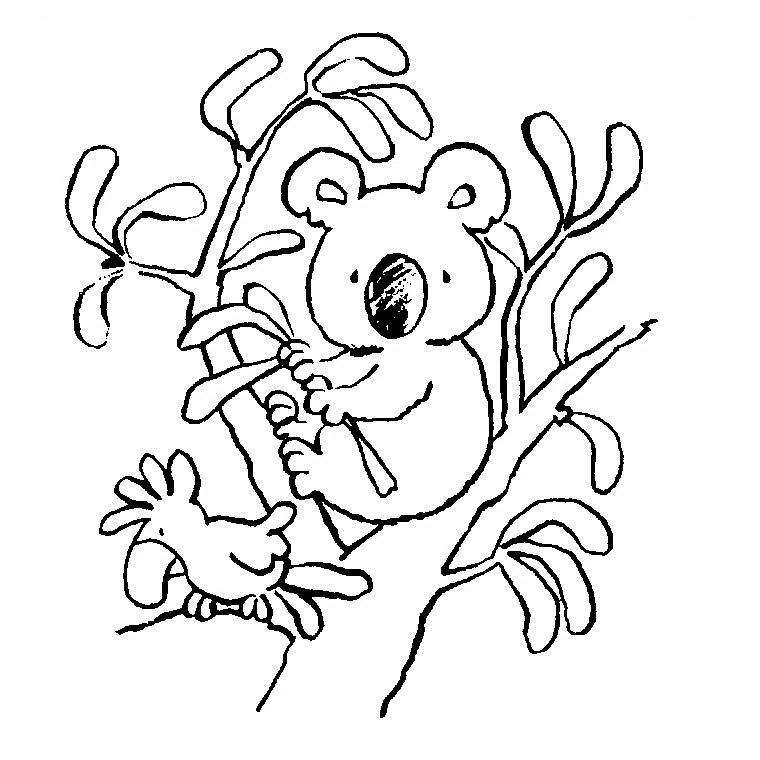 Disegno Koala seduto su un albero di eucalipto da colorare Disegno Koala seduto su un albero di eucalipto da colorare