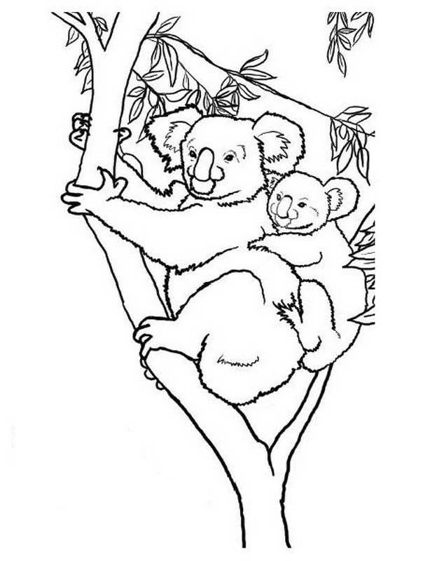 Disegno Koala madre e cucciolo su un albero da colorare Disegno Koala madre e cucciolo su un albero da colorare