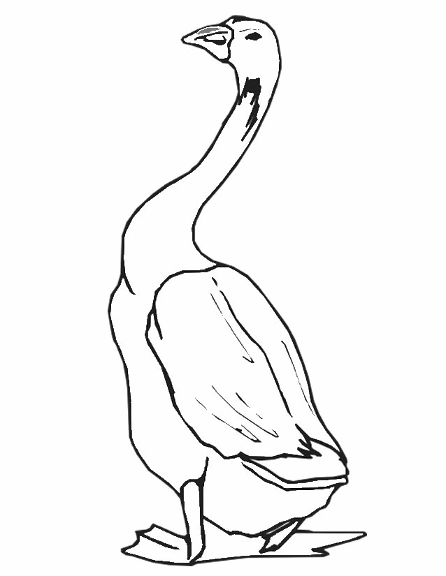 Disegno Oca in piedi con il collo lungo eretto da colorare