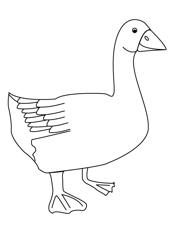 Disegno Oca in piedi con il collo allungato da colorare Disegno Oca in piedi con il collo allungato da colorare