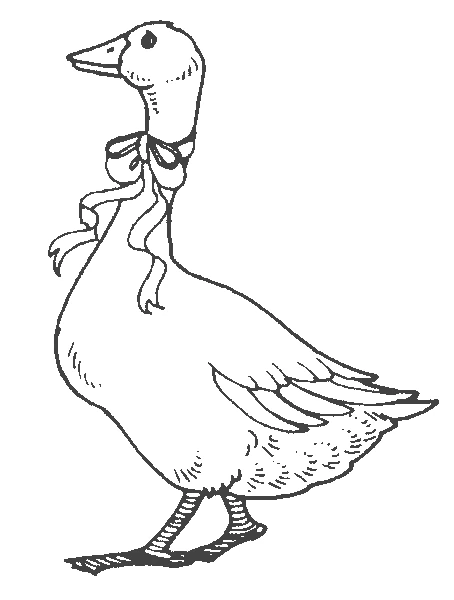 Disegno Oca con un fiocco intorno al collo da colorare Disegno Oca con un fiocco intorno al collo da colorare