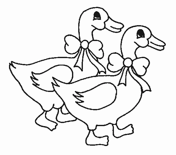 Disegno Due oche con fiocchi da colorare Disegno Due oche con fiocchi da colorare