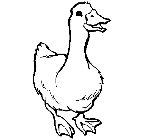 Disegno Oca che cammina con il becco aperto da colorare Disegno Oca che cammina con il becco aperto da colorare