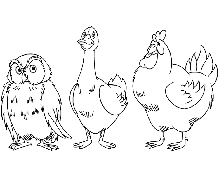 Disegno Oca in piedi tra un gufo e una gallina da colorare Disegno Oca in piedi tra un gufo e una gallina da colorare