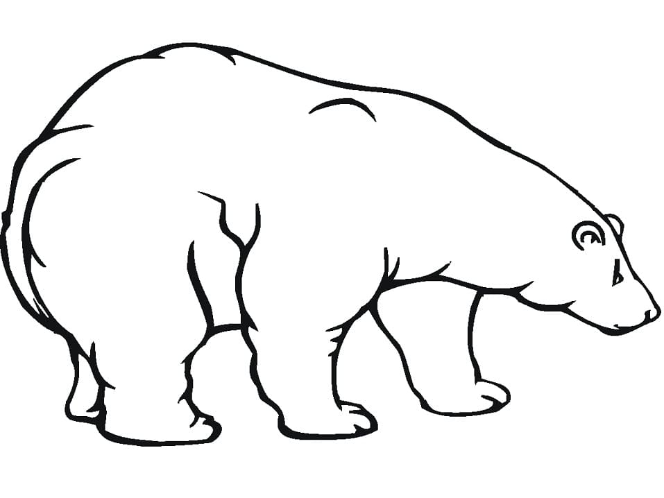 Disegno da colorare: Orso Polare (Animali) #201264 - Pagine da Colorare Stampabili Gratuite