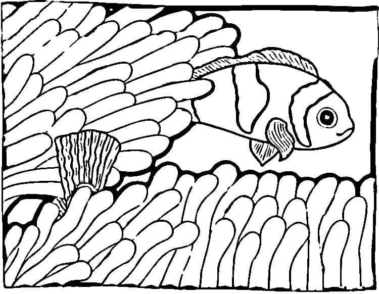 Disegno da colorare: Pesce Pagliaccio (Animali) #218325 - Pagine da Colorare Stampabili Gratuite