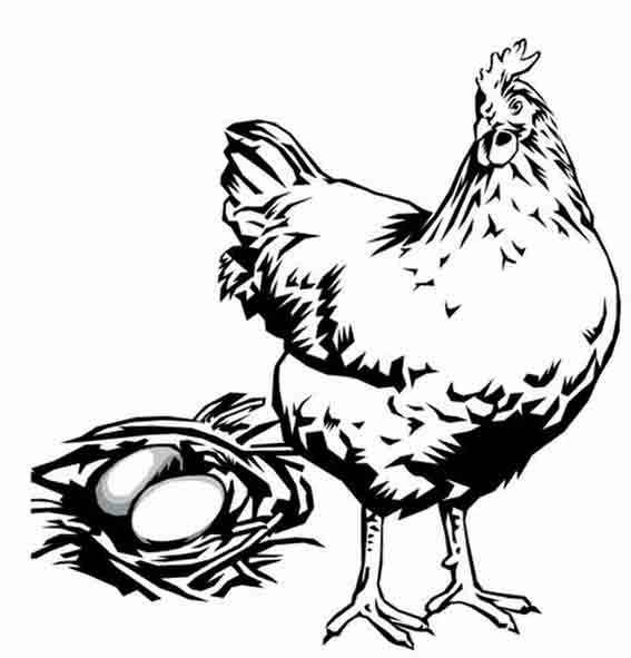 Disegno Pollo in piedi vicino a un nido di uova da colorare
