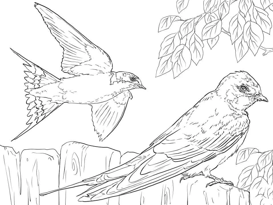 Disegno Rondine in volo e posata su un palo di legno da colorare