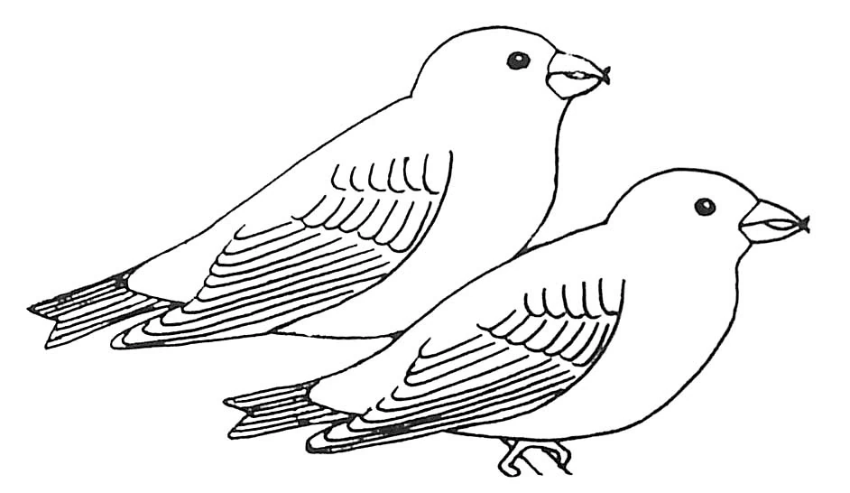 Disegno Rondine in coppia posata fianco a fianco da colorare