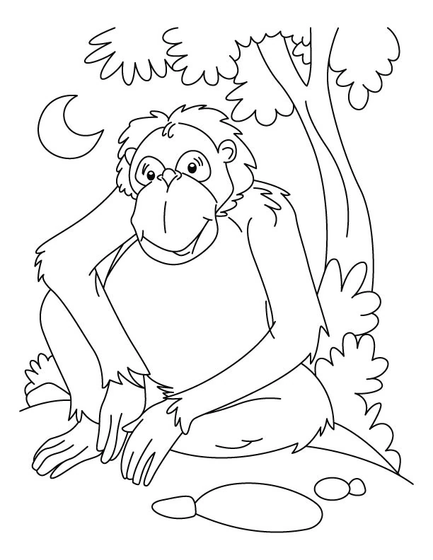 Disegno Scimpanzé seduto sotto un albero di notte da colorare Disegno Scimpanzé seduto sotto un albero di notte da colorare