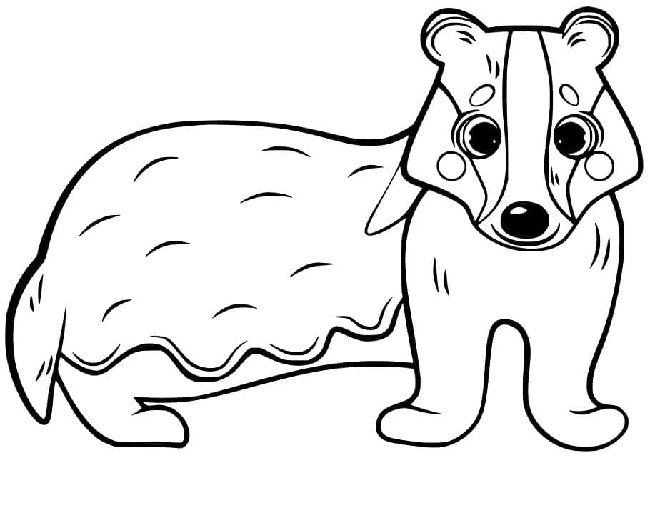 Disegno Tasso in piedi con una pelliccia soffice da colorare Disegno Tasso in piedi con una pelliccia soffice da colorare