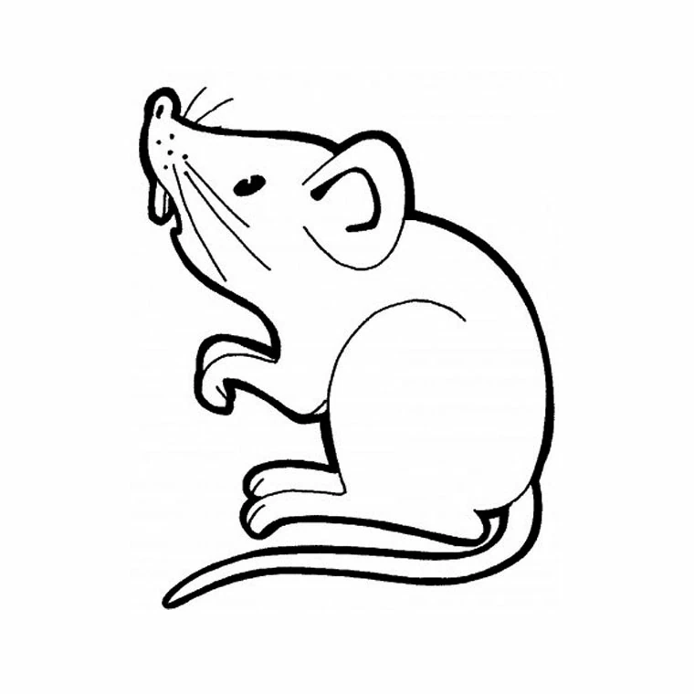 Disegno Topo seduto con la zampa alzata da colorare Disegno Topo seduto con la zampa alzata da colorare