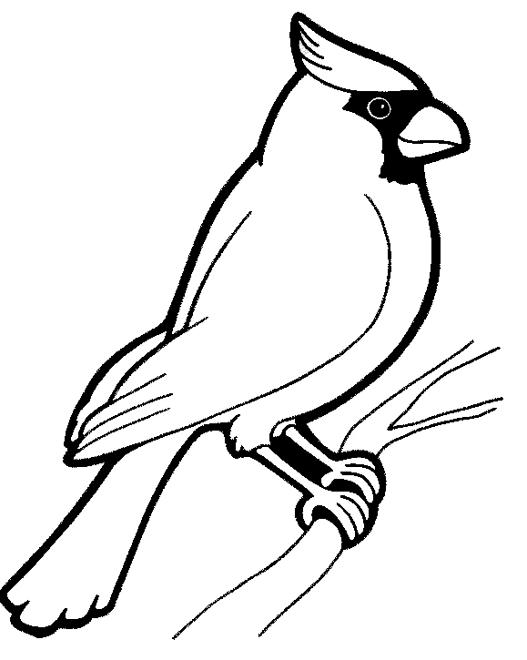 Disegno Cardinale appollaiato su un ramo da colorare
