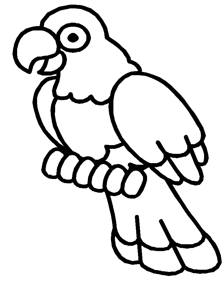 Disegno Pappagallo appoggiato su un ramo da colorare