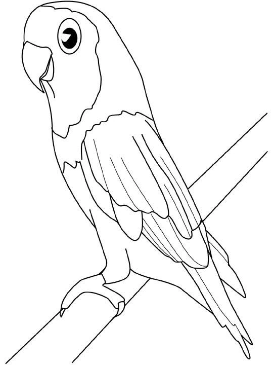 Disegno Uccello appollaiato su un ramo da colorare Disegno Uccello appollaiato su un ramo da colorare