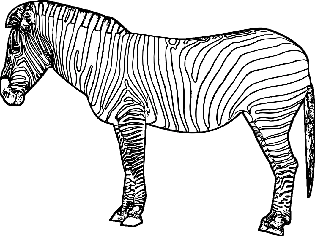 Disegno Zebra in piedi di profilo da colorare Disegno Zebra in piedi di profilo da colorare