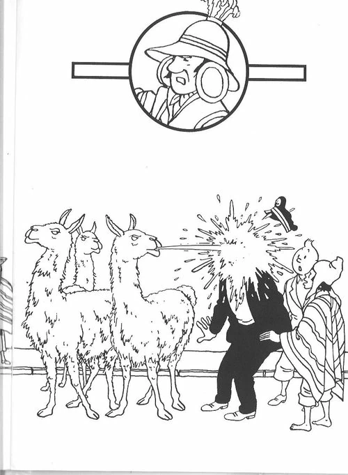 Disegno Tintin sputato dai lama da colorare Disegno Tintin sputato dai lama da colorare