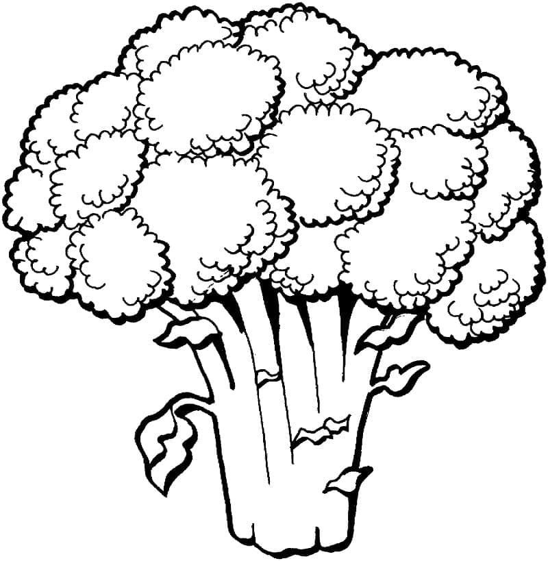 Disegno da colorare: Broccoli (Cibo e Nutrizione) #203729 - Pagine da Colorare Stampabili Gratuite