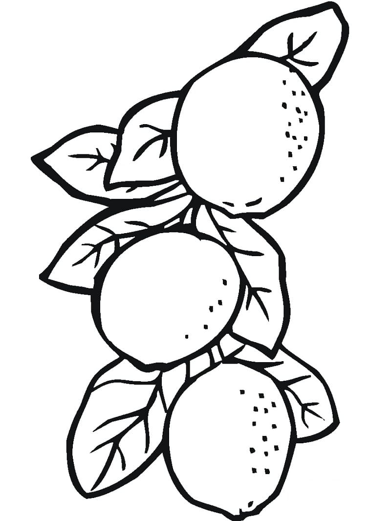 Disegno da colorare: Limone (Cibo e Nutrizione) #185020 - Pagine da Colorare Stampabili Gratuite