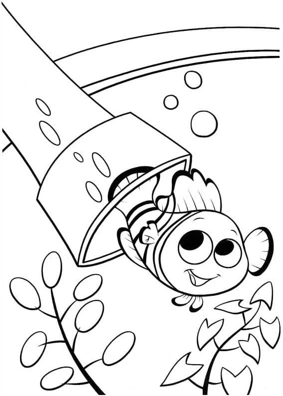 Disegno Nemo che esce da un tubo per immersioni da colorare Disegno Nemo che esce da un tubo per immersioni da colorare
