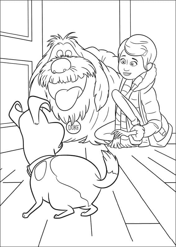 Disegno da colorare: The Secret Life of Pets (Film di Animazione) #206617 - Pagine da Colorare Stampabili Gratuite
