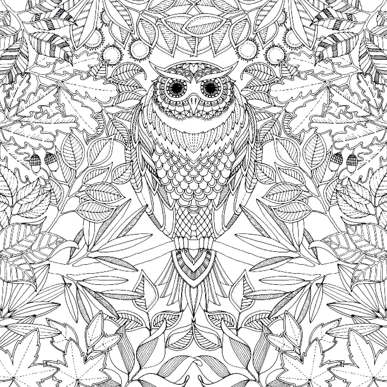 Disegno Mandala di gufo circondato da foglie da colorare Disegno Mandala di gufo circondato da foglie da colorare