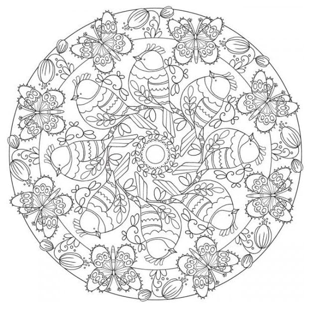 Disegno Mandala di primavera con uccelli e farfalle da colorare Disegno Mandala di primavera con uccelli e farfalle da colorare