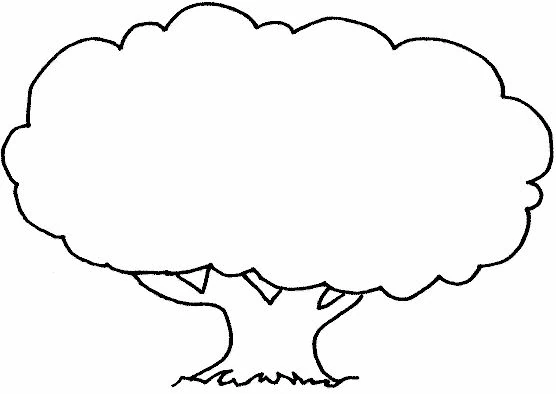 Disegno Albero semplice con una grande chioma rotonda da colorare